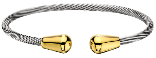 Stainless Steel Tear Drop Gold w/3800 Gauss Magnets.